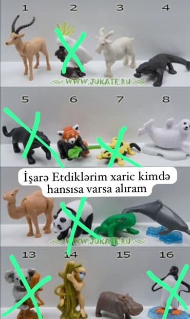 saat alıram: Heyvanlardan işarə edilenler xaric kimdə hansılar varsa alıram eləcədə — 1
