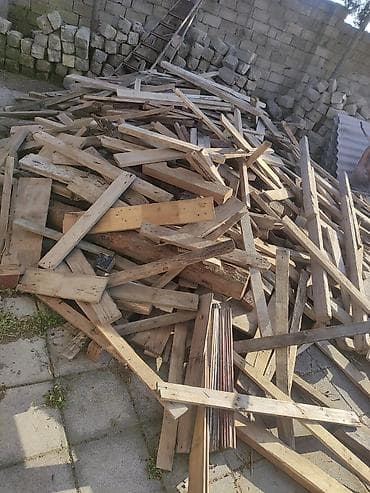 demir kesen misar: Bir qazeldi 4 metrelikk qazellə. Tikinti qalıqları – taxta şalban və — 6