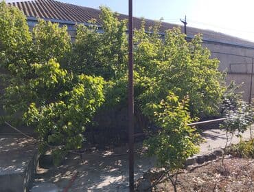 kiraye yer: 150 kv. m, 3 otaqlı, Kombi, Qaz, İşıq — 4