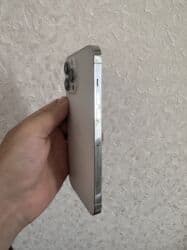 2 ci el iphone 13 pro max: IPhone 13 Pro Max, 128 GB, Face ID — 2