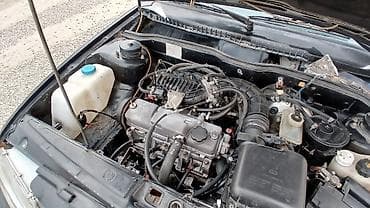 lada salon: Mator karopka idyal sadece kasmetik ehtiyaci var — 6