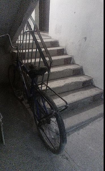 Şəhər velosipedi 26", sürətlərin sayı: 1