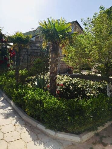 ev certiyojları: 100 kv. m, 2 otaqlı, Hovuzsuz — 18