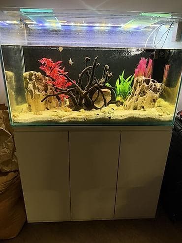 akvarium 90x40x50: Akvaryum dəsti – şkaflı, işıqlandırmalı - Şüşə akvaryum: iri həcmli — 2