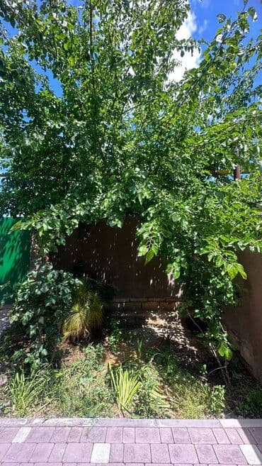 merdekanda kiraye evler 2024: 120 kv. m, 4 otaqlı, Qaz, İşıq, Su — 9