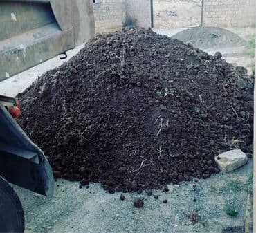 arpa toxumu satışı: Məhsul: Qaratorpaq (çalarlı qara torpaq, humusla zəngin) Təsvir: - — 1