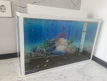heyvan sahibləndirmə: Dördbucaq akvarium, Balıqlarla birlikdə, 15 l, Ünvandan götürmə — 1