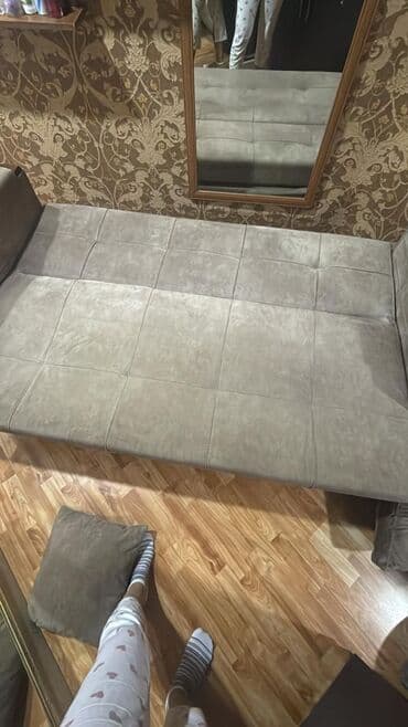 Комнатные растения: Диван, Платная доставка — 2