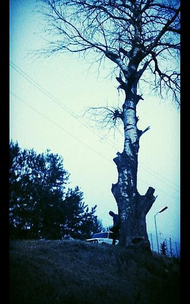 Təmizlik xidmətləri: Menali ve maraqli shekillerin chekilmesi ve hazirlanmasi.Taninmish — 5