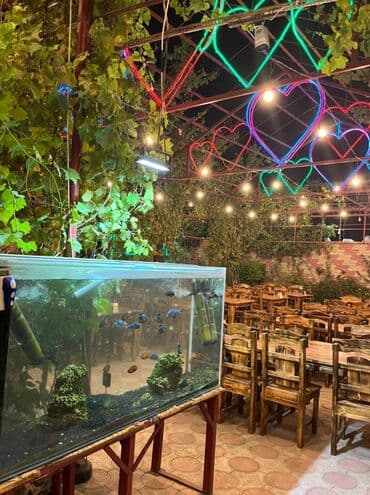 kirayə restoranlar: Yeni Günəşlidə 25 sot həyət sahəsi olan ümumi sahəsi 400 kvm olan — 5