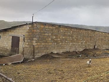 3 otaqlı mənzillərin satışı: Ferma kompleksi – mal-qara saxlanışı üçün hazır infrastruktur - Geniş — 8