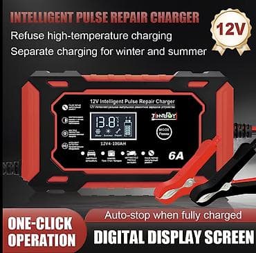 Шины и диски: Məhsul: 12V Ağıllı Pulse Repair Charger (6A) Təsvir: - Avtomobil — 2