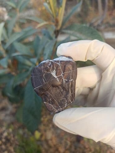 qızılın 1 qramının qiyməti 2022: 💎 Təbii JASPER Daşı😍 Qiymətlə bağlı maraqlananlar zəhmət olmasa — 6