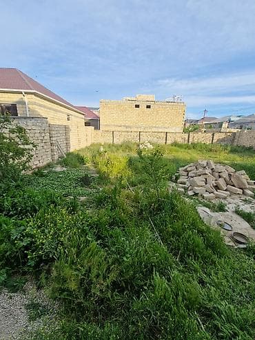 cepis satisi: 4 sot, Tikinti, Mülkiyyətçi, Bələdiyyə — 3