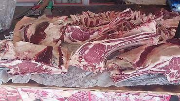 Quş əti: Kənd Məhsulları – stoludur eladir ozum yigirmisam uzunu 3 metir eni — 9