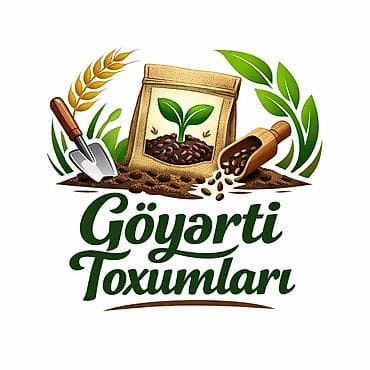 Göyərti toxumları – 4 Mövsüm çeşidli paketlər Məhsul təsviri: -