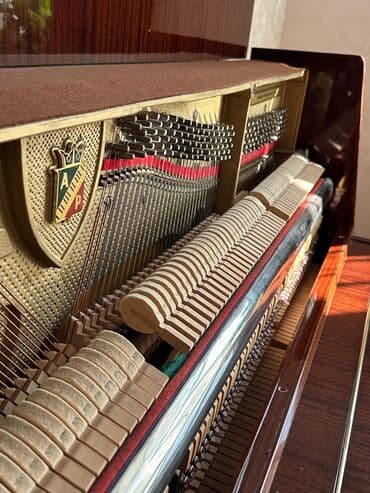 Fleytalar: Piano, Petrof, Akustik — 2