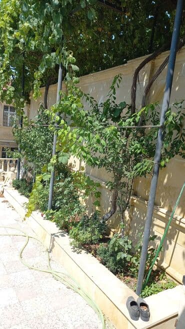 neftcilər kirayə evlər: Qaraçuxur qəs. 8 otaq, 220 kv. m, Kredit var, Orta təmir — 9