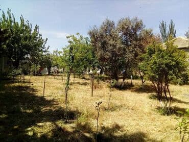 turkanda heyet evleri: 5 otaqlı, 200 kv. m — 13