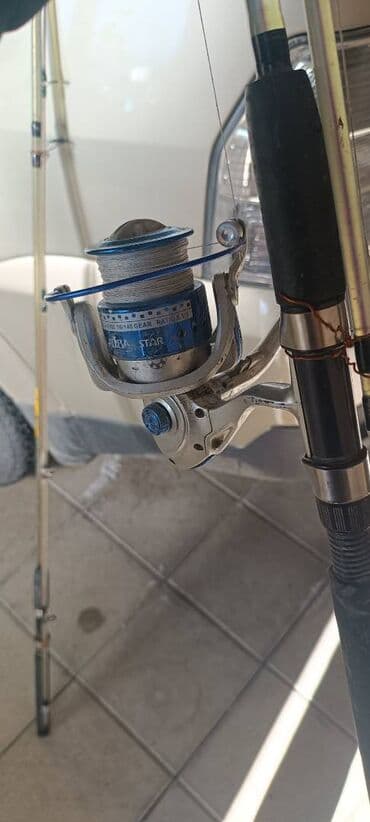 baliqci: Məhsul: 2 ədəd balıq tutma dəsti Təsvir: - 2 ədəd teleskopik qamış - — 2