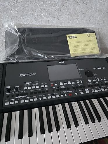 korg pa 80: Sintezator, Korg — 1