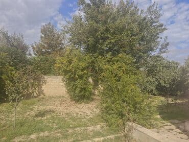 аренда земельных участков сельскохозяйственного назначения: 5 sot, Kənd təsərrüfatı, Texniki pasport — 3