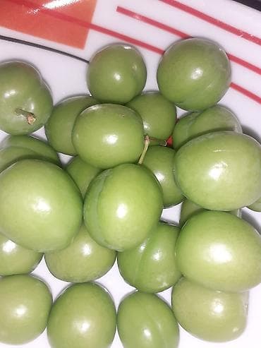 Другие продукты питания: Sabirabada alça 1 klosu 5azın — 1