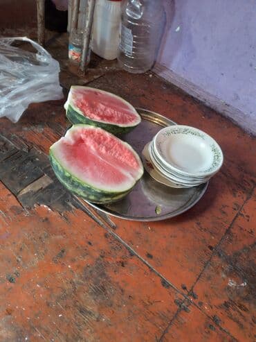 rus papağı: Qol saatı — 5