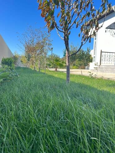 снять дачу у моря: Баку, Пос. Кюрдаханы, 190 м², 5 комнат, С бассейном, Комби, Газ, Электричество — 24