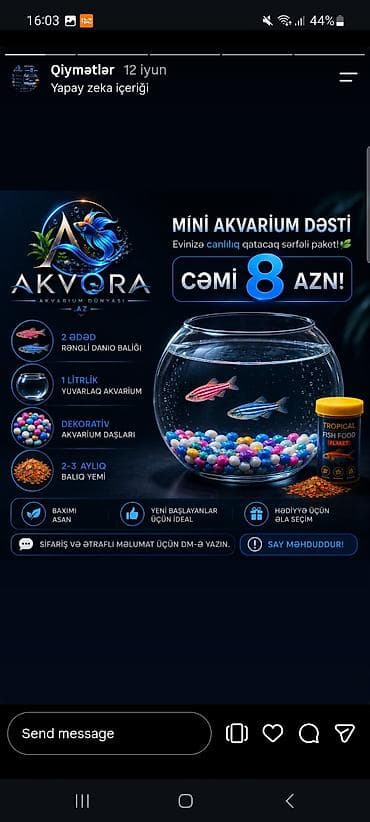 skalyari: Yumru akvarium, Balıqlarla birlikdə, 1 l — 4