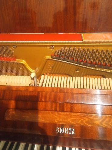 Fleytalar: Piano, Akustik, İşlənmiş, Ödənişli çatdırılma — 3