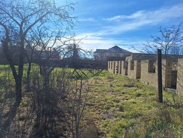 qaradağ rayonu muşfiqabad qəsəbəsində kirayə evlər: Mərəzə, 56 kv. m, 3 otaqlı, Hovuzsuz, Artezian quyusu, İnternet, Telefon — 7