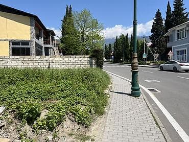 1 sot, Biznes üçün, Mülkiyyətçi, Kupça (Çıxarış)