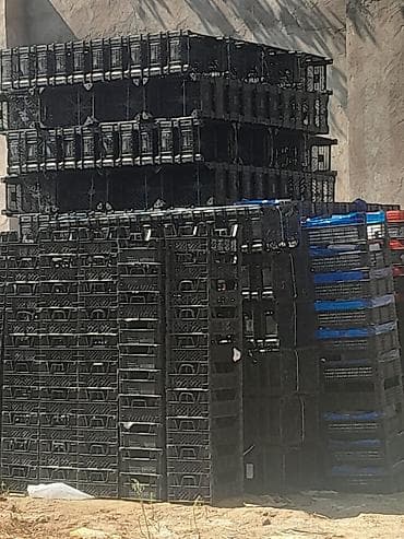 plastilin: Məhsul: Plastik tərəvəz/mevə yeşikləri (qablaşdırma səbətləri) — 2