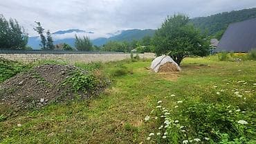Torpaq: Tikinti — 9