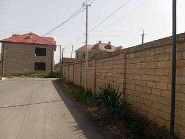 5 sot, Tikinti, Kupça (Çıxarış)