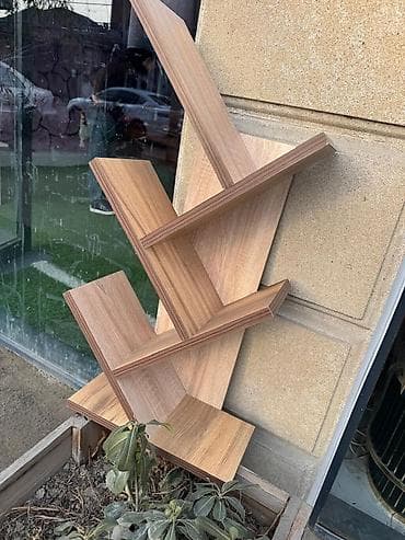 dollar agaci: Kitab rəfi — 3