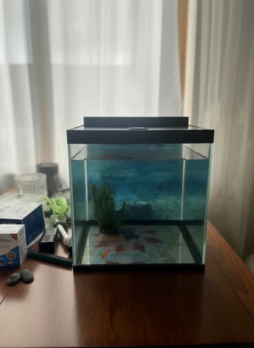 Akvaryum dəsti 1 akvaryum tezedi qalan herwey iwlenmiwdi ekseryeti az