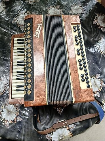 rus dili lüğət dəftəri: Akustik Akkordeon — 2