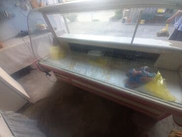 купить измельчитель сена бу: Mağaza üçün soyuducu vitrin - Tip: Elektriklə işləyən soyuducu satış — 4