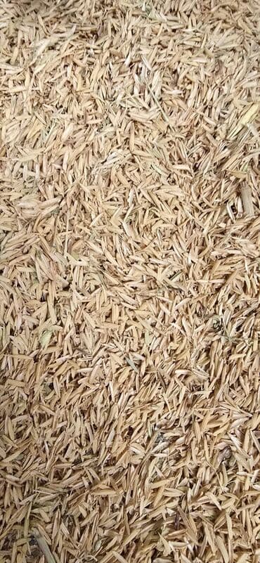 ağ balıq qiyməti: Düyü qabığı və narin kəpək 0.17 qəpikdən🌾 Təmiz, təbii və keyfiyyətli — 5