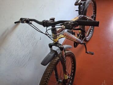 купить скейт круизер: Dağ velosipedi Velocruz, 29", sürətlərin sayı: 7 — 1