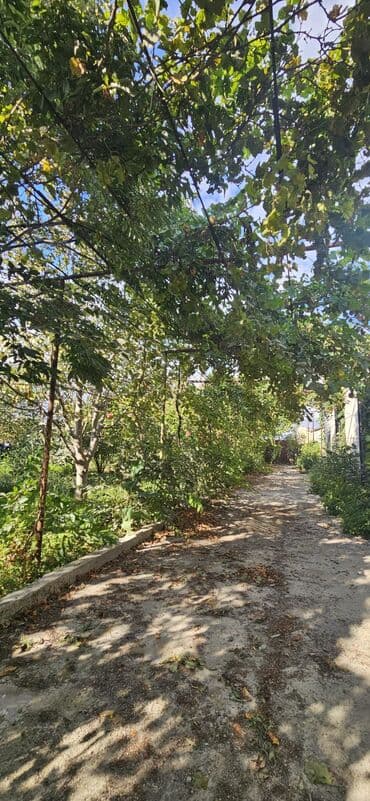 аренда продажа земельных участков: 48 sot, Kənd təsərrüfatı, Kupça (Çıxarış) — 5