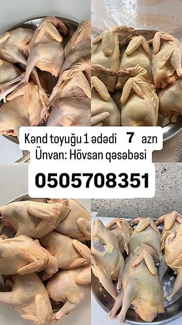 Məhsullar: - Qubadan gətirilən kənd yumurtası - Tam təbii - Vitamin — 3