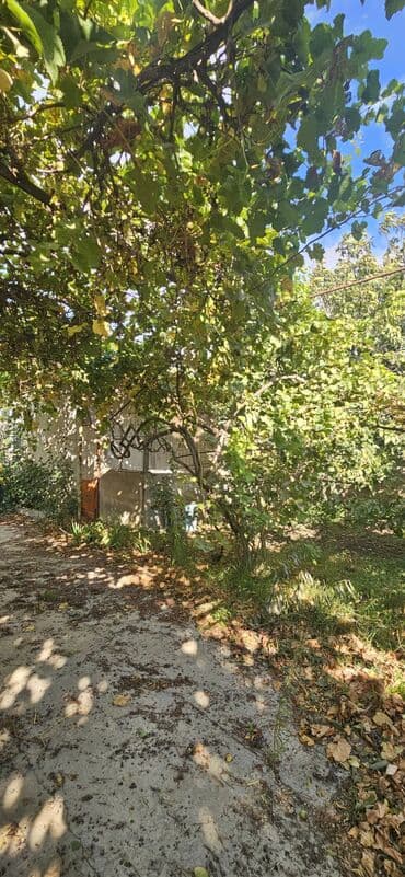 аренда продажа земельных участков: 48 sot, Kənd təsərrüfatı, Kupça (Çıxarış) — 26