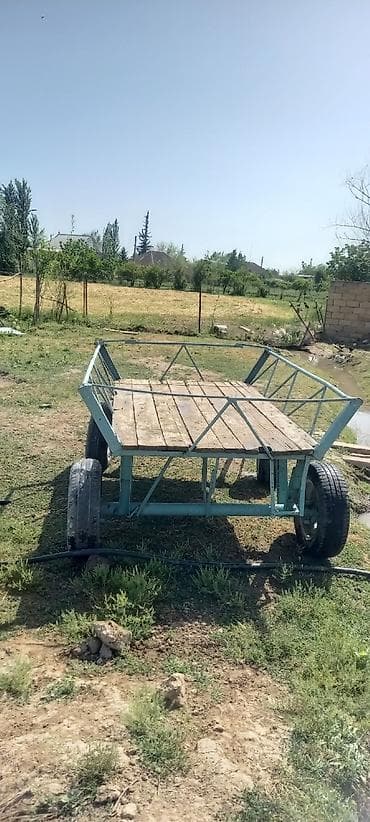 mini belarus traktor: At arabası satlır 350 manata saatlı rayonunda — 2