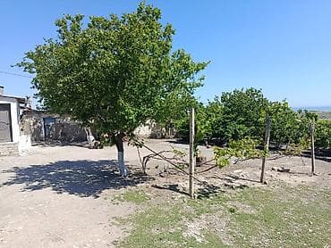 torpaq satilir: Kənd təsərrüfatı, Kupça (Çıxarış) — 5