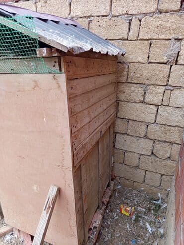 göyərçin yuvaları: Salam.gördüyünüz quş damı satılır qiyməti 50 manat və satdıq 8 dənədə — 3