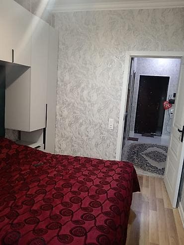 ev alqi satki: 2 otaqlı, Yeni tikili, 50 kv. m — 2