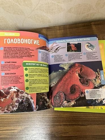 KidzLab “Artırılmış Reallıq Ensiklopediyaları” – 3 kitabdan ibarət — 3